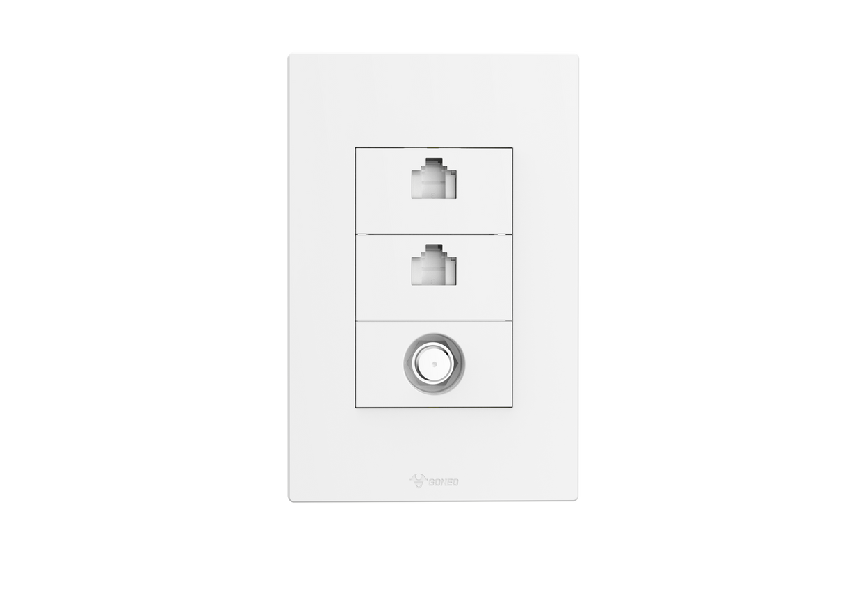 2 Gang Computer + TV(into 2) Socket