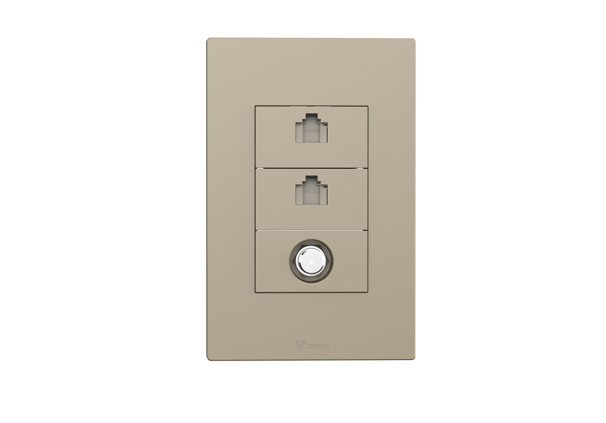 2 Gang Computer + TV(into 2) Socket
